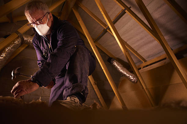 Best DIY Insulation Kits and Guidance in Sioux Falls, SD